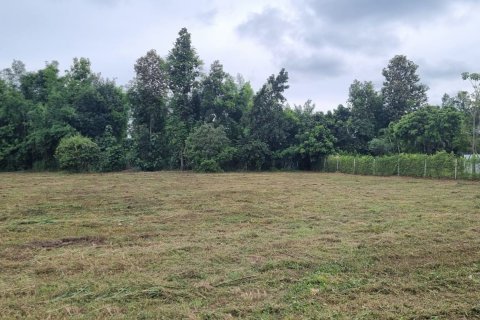 Земельный участок в Ханг Донге, Таиланд 2000м2  № 160295 - фото 3