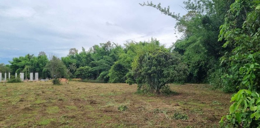 Земельный участок в Ханг Донге, Таиланд 2000м2  № 160295