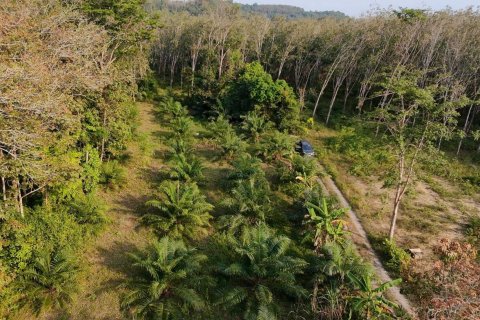 Земельный участок в Паклоке, Таиланд 2400м2 № 159090 - фото 3