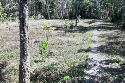 Земельный участок в Паклоке, Таиланд 2400м2 № 159090 - фото 12