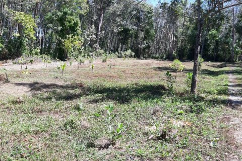 Земельный участок в Паклоке, Таиланд 2400м2 № 159090 - фото 10