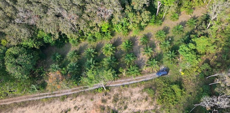 Земельный участок в Паклоке, Таиланд 2400м2 № 159090