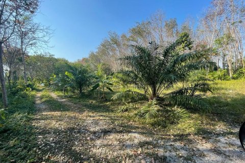 Земельный участок в Паклоке, Таиланд 2400м2 № 159090 - фото 11