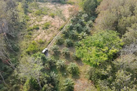 Земельный участок в Паклоке, Таиланд 2400м2 № 159090 - фото 6