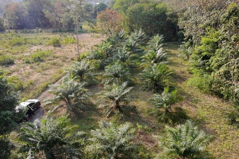 Земельный участок в Паклоке, Таиланд 2400м2 № 159090 - фото 5