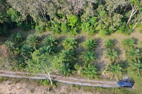 Земельный участок в Паклоке, Таиланд 2400м2 № 159090 - фото 9