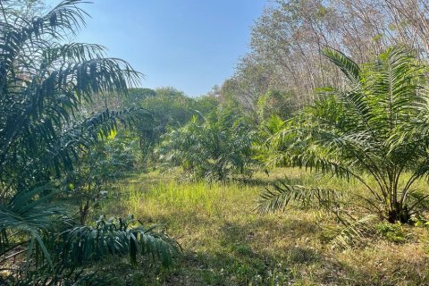 Земельный участок в Паклоке, Таиланд 2400м2 № 159090 - фото 13