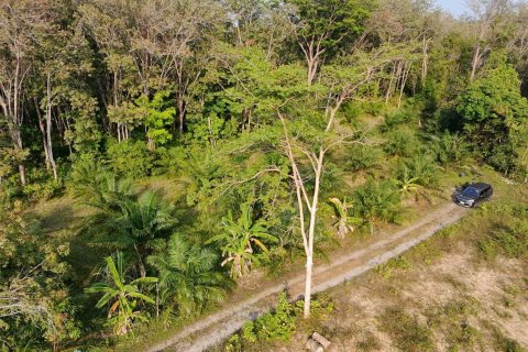 Земельный участок в Паклоке, Таиланд 2400м2 № 159090 - фото 8