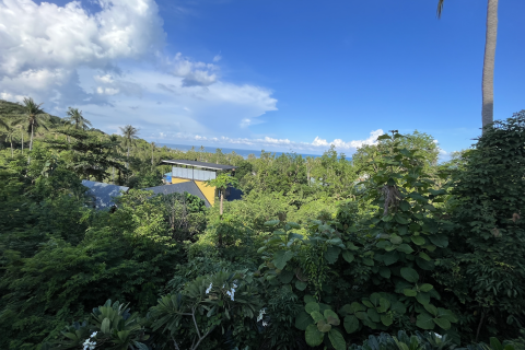 Земельный участок в Самуи, Таиланд 1600м2  № 171004 - фото 6