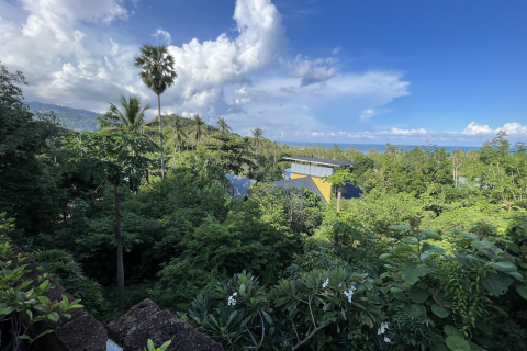 Земельный участок в Самуи, Таиланд 1600м2  № 171004 - фото 4