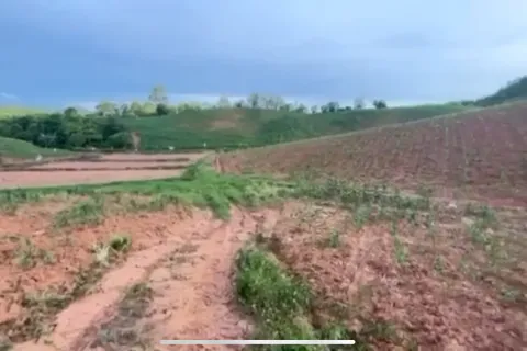 Terrain à Loei, Thaïlande 83200 m2 № 162094 - photo 3