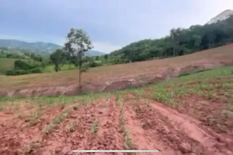 Terrain à Loei, Thaïlande 83200 m2 № 162094 - photo 4