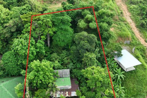 Земельный участок в Пхукете, Таиланд 1500м2 № 138574 - фото 8