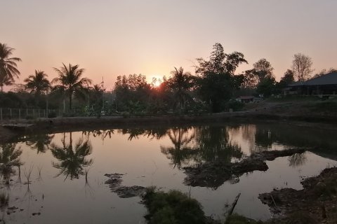 Дом в Пхетбури, Таиланд с 4 спальнями  № 138572 - фото 3