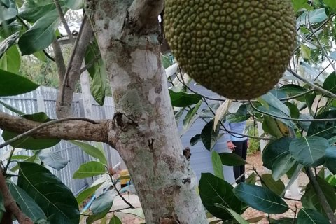 Дом в Пхетбури, Таиланд с 4 спальнями  № 138572 - фото 28