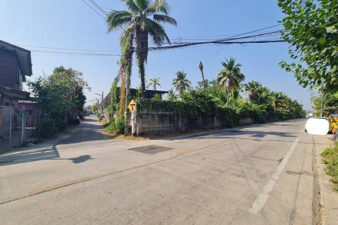 Земельный участок в Кратум Баене, Таиланд 8000м2  № 153512 - фото 5