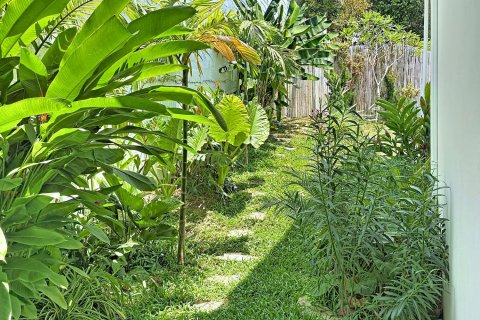Дом в Самуи, Таиланд с 3 спальнями  № 175601 - фото 12