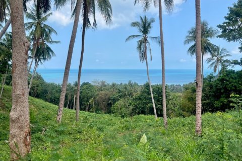 Studio à Ko Samui, Thaïlande № 172610 - photo 1