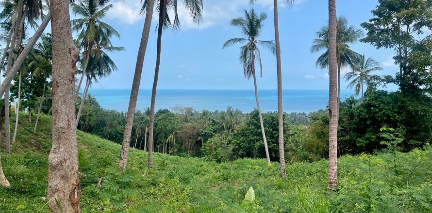 Studio à Ko Samui, Thaïlande № 172610