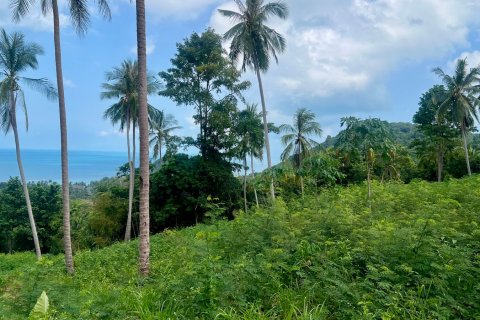 Studio à Ko Samui, Thaïlande № 172610 - photo 3