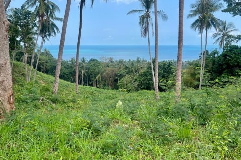 Studio à Ko Samui, Thaïlande № 172610 - photo 2