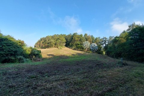 Villa in Chiang Rai, Thailand 6 bedrooms № 156426 - photo 9