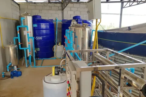 Terrain à Wang Saphung, Thaïlande 56000 m2 № 171000 - photo 11