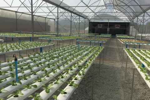 Terrain à Wang Saphung, Thaïlande 56000 m2 № 171000 - photo 23