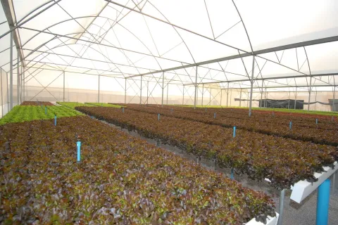 Terrain à Wang Saphung, Thaïlande 56000 m2 № 171000 - photo 16