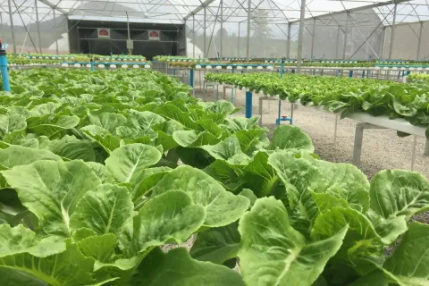 Terrain à Wang Saphung, Thaïlande 56000 m2 № 171000 - photo 25