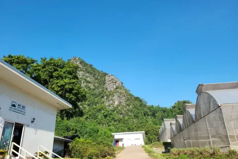 Terrain à Wang Saphung, Thaïlande 56000 m2 № 171000 - photo 5