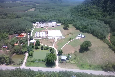 Terrain à Wang Saphung, Thaïlande 56000 m2 № 171000