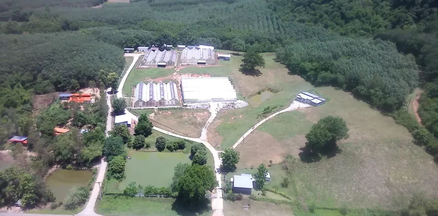 Terrain à Wang Saphung, Thaïlande 56000 m2 № 171000