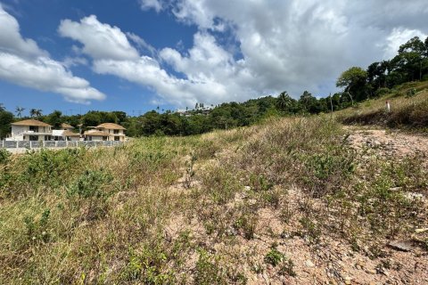 Land in Ko Samui, Thailand 1864 sq.m. № 170998 - photo 9