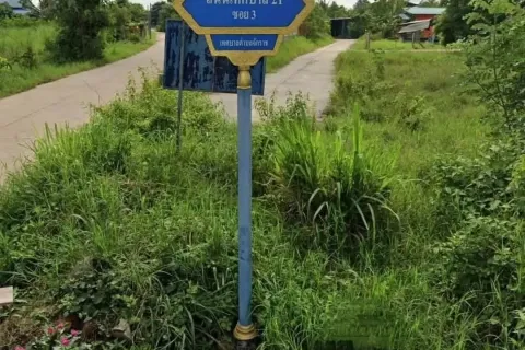 Terrain à Nakhon Ratchasima, Thaïlande 3200 m2 № 155156 - photo 3