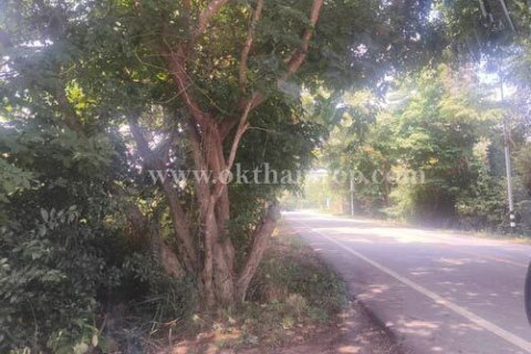 Land in Pattaya, Thailand 19160 sq.m. № 155161 - photo 6