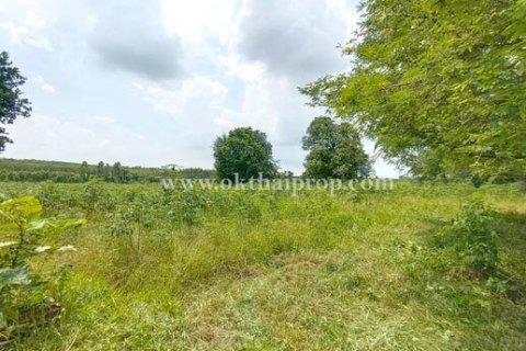 Land in Pattaya, Thailand 19160 sq.m. № 155161 - photo 3