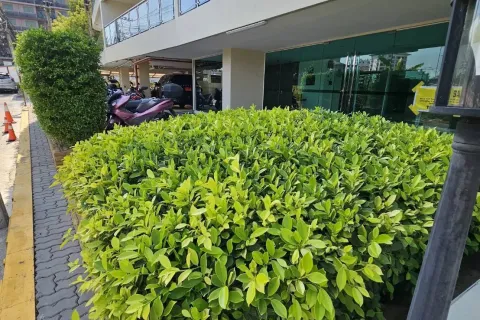 Офис в Паттайе, Таиланд  № 172143 - фото 6