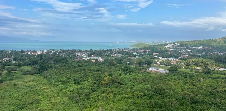 Land in Ko Samui, Thailand 8400 sq.m. № 141435