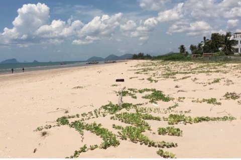Land in Hua Hin, Thailand 508.4 sq.m. № 163045 - photo 3