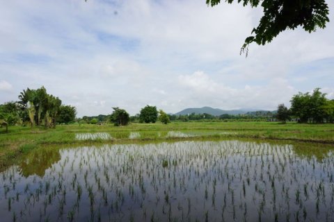 House in Chiang Mai, Thailand 5 bedrooms № 160078 - photo 29