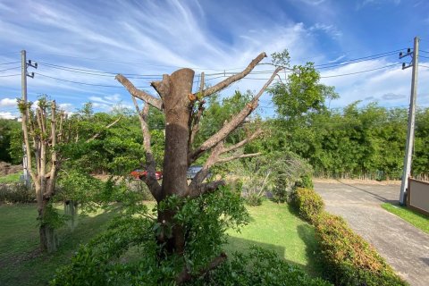 Дом в Чиангмае, Таиланд с 2 спальнями  № 160073 - фото 27