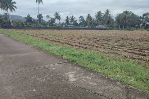 Terrain à Mai Khao, Thaïlande 5200 m2 № 159119 - photo 6