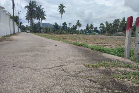 Terrain à Mai Khao, Thaïlande 5200 m2 № 159119 - photo 5