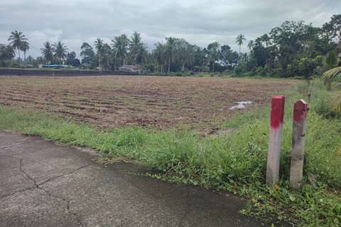 Terrain à Mai Khao, Thaïlande 5200 m2 № 159119 - photo 7
