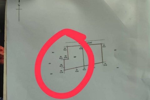 Terrain à Mai Khao, Thaïlande 5200 m2 № 159119 - photo 8