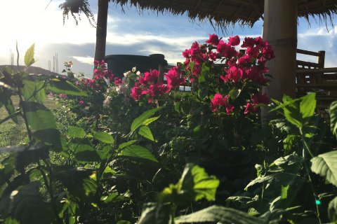 Studio in Hua Hin, Thailand № 171948 - photo 22