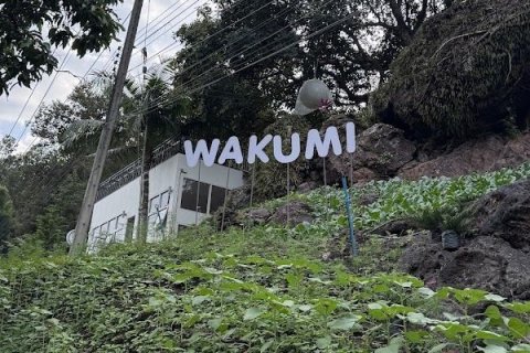 Land in Mae On, Thailand 4800 sq.m. № 159007