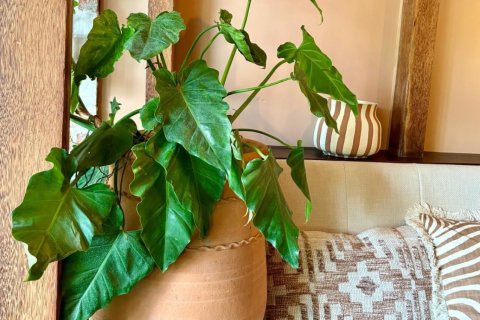 Café / restaurant à Ko Samui, Thaïlande № 170492 - photo 14