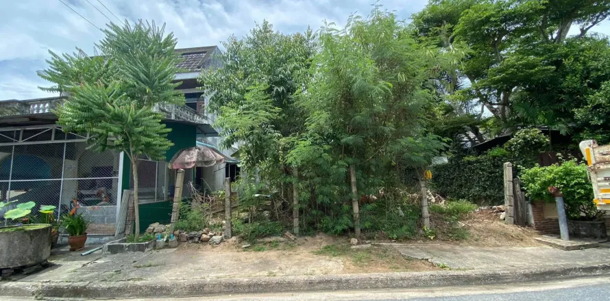 Земельный участок в Яле, Таиланд 220м2 № 149098